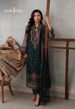 AJLPN-09 Embroidered Poly Net Stitched 3pcs (Copy)